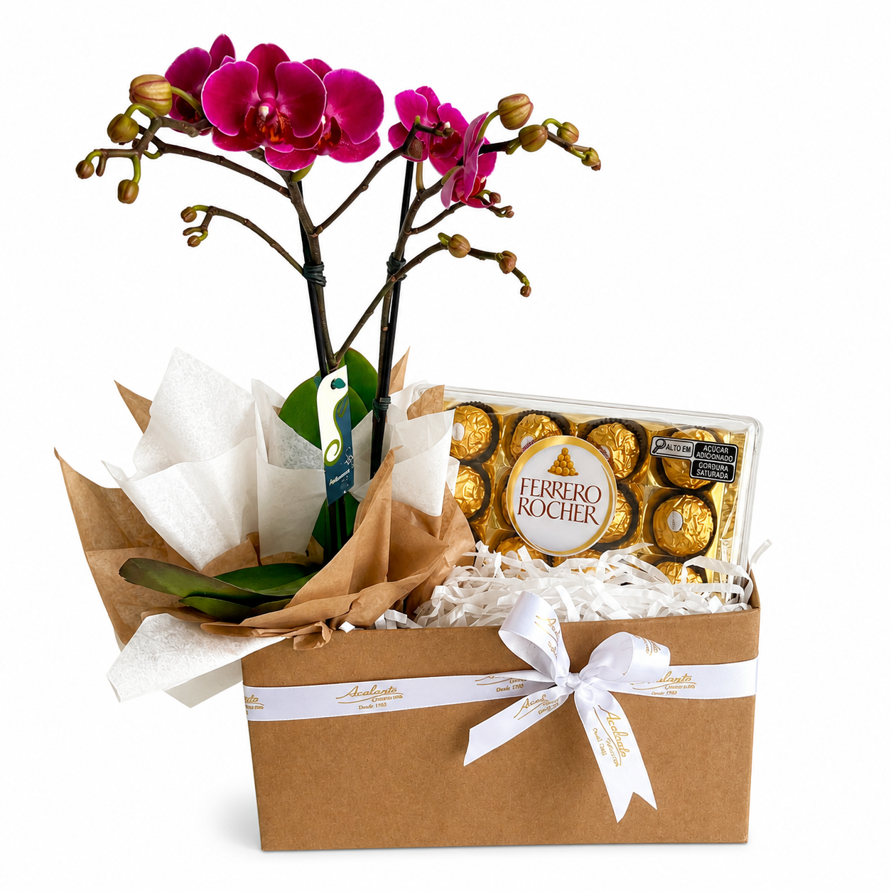 Orqu�dea Doce Gratid�o