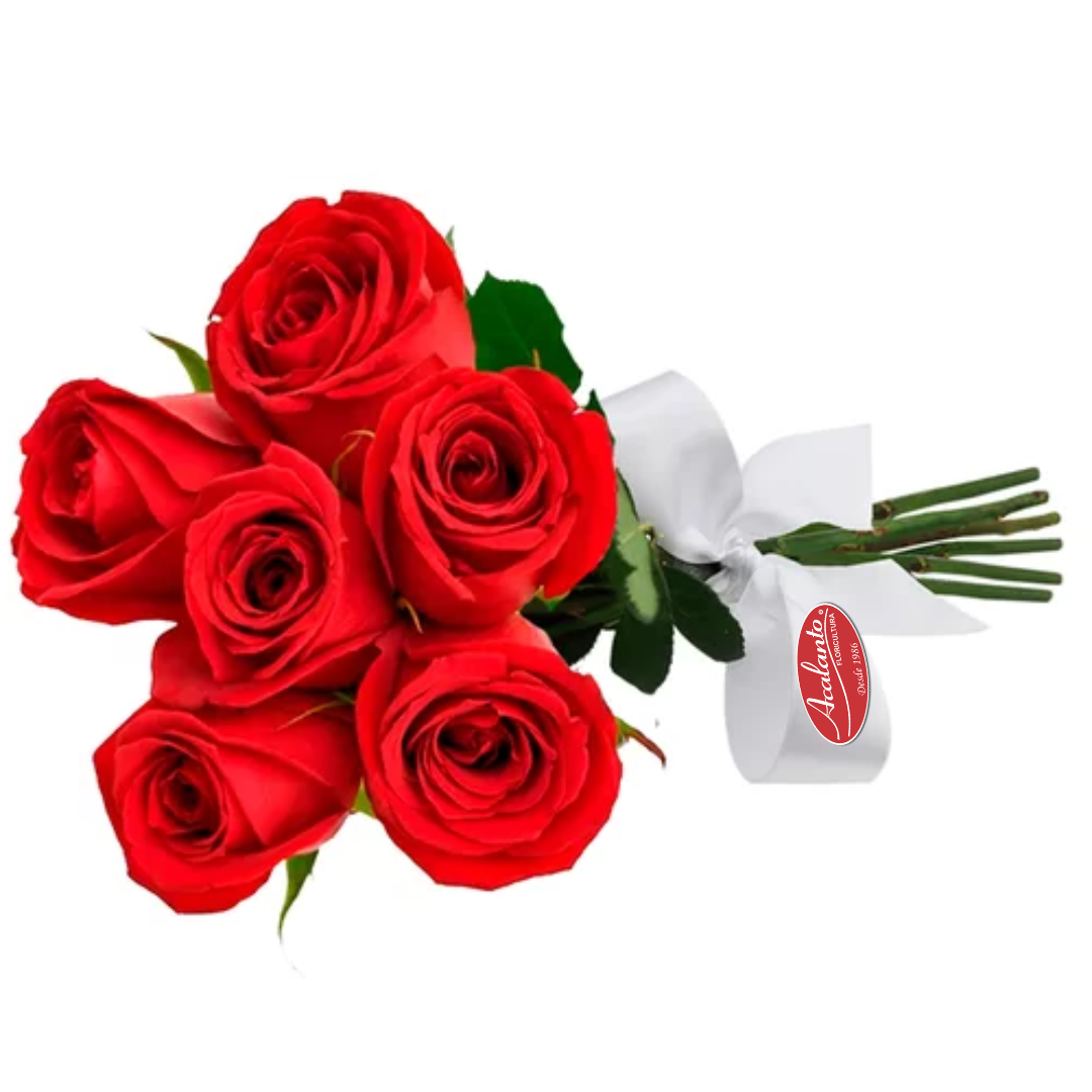 Buqu encanto 6 rosas vermelhas