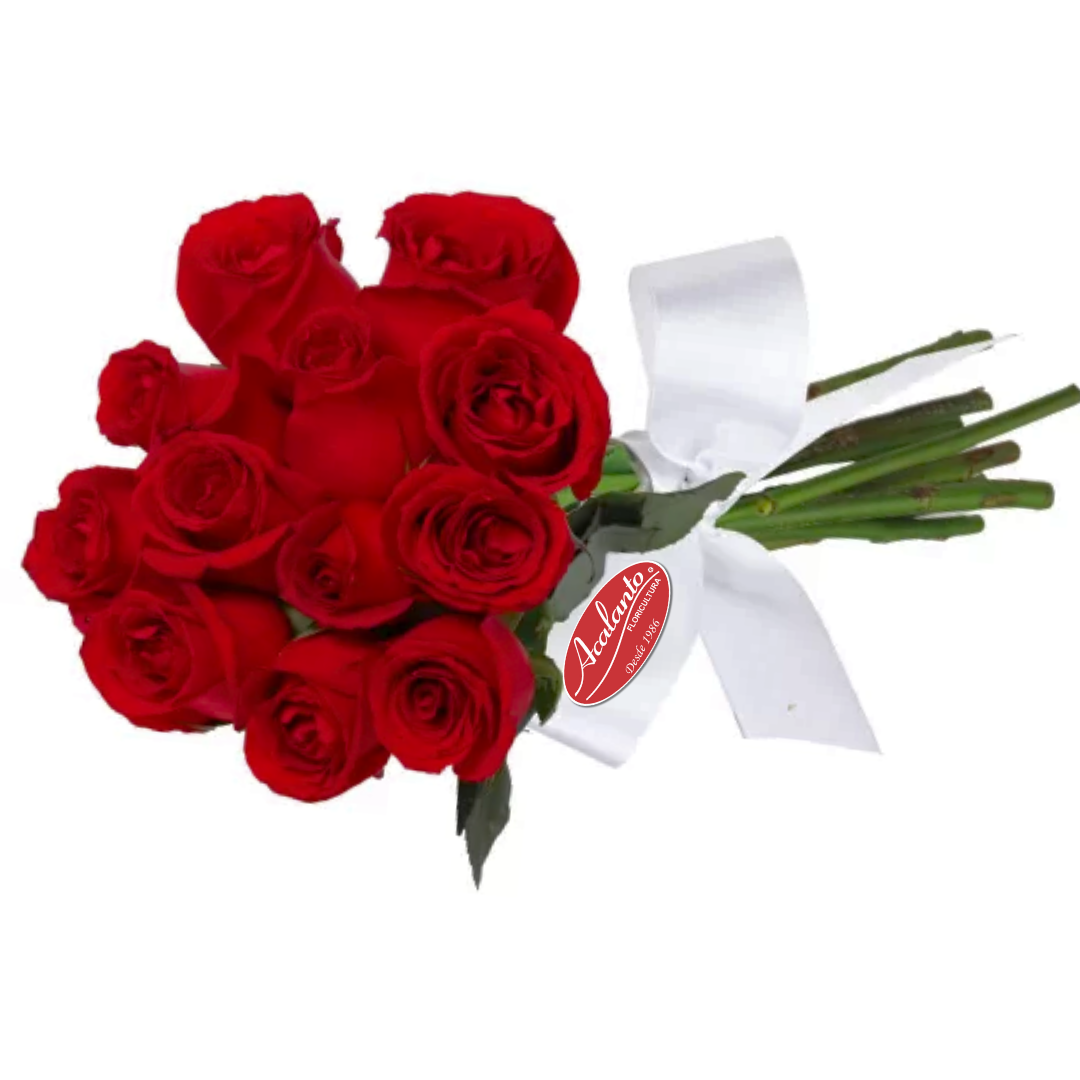 Buqu encanto 12 rosas vermelhas