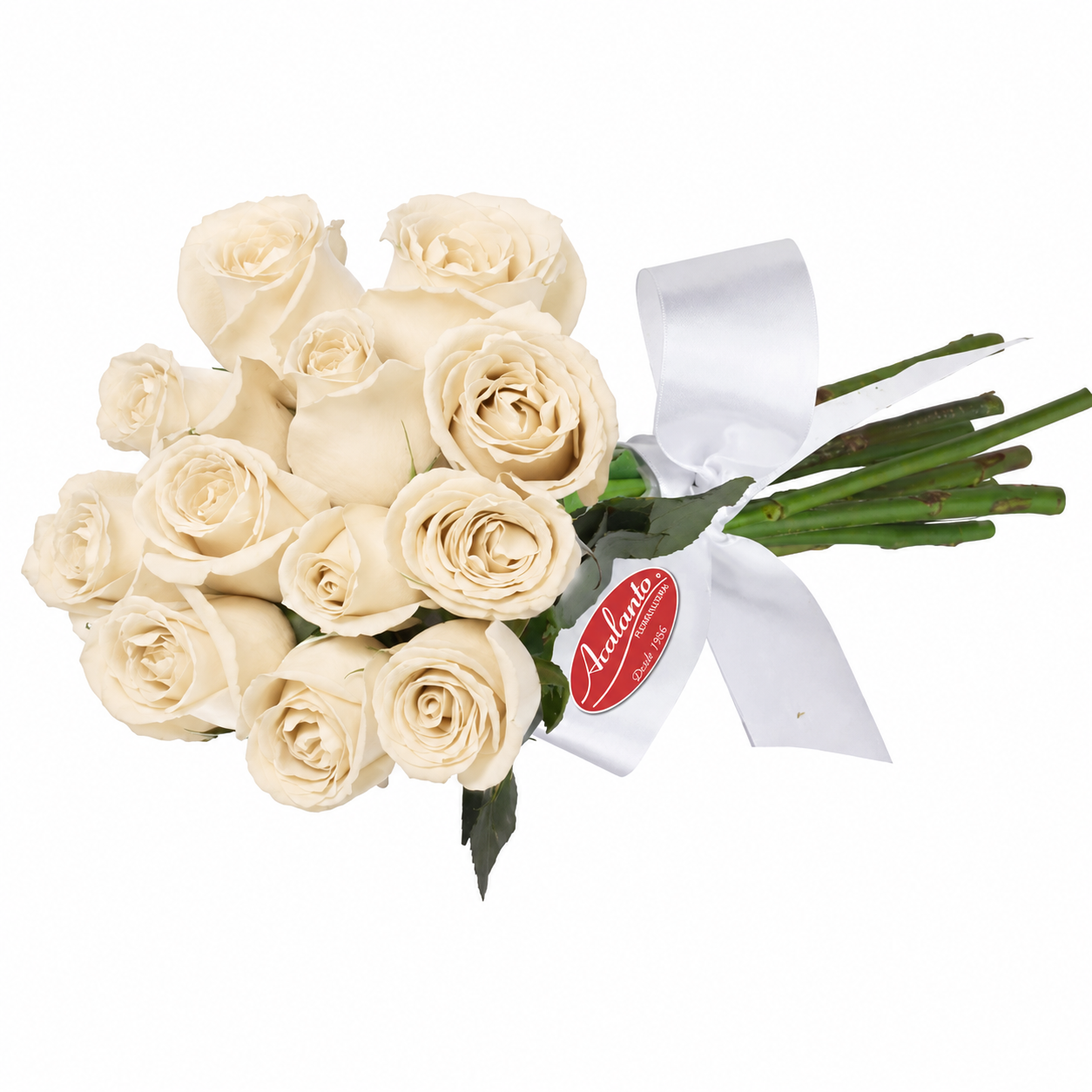 Buqu� encanto com 12 Rosas Brancas