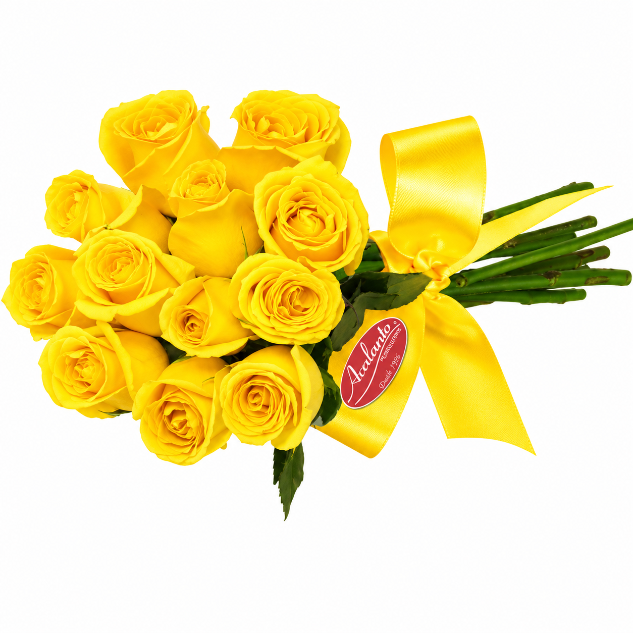 Buqu� encanto com 12 Rosas Amarelas