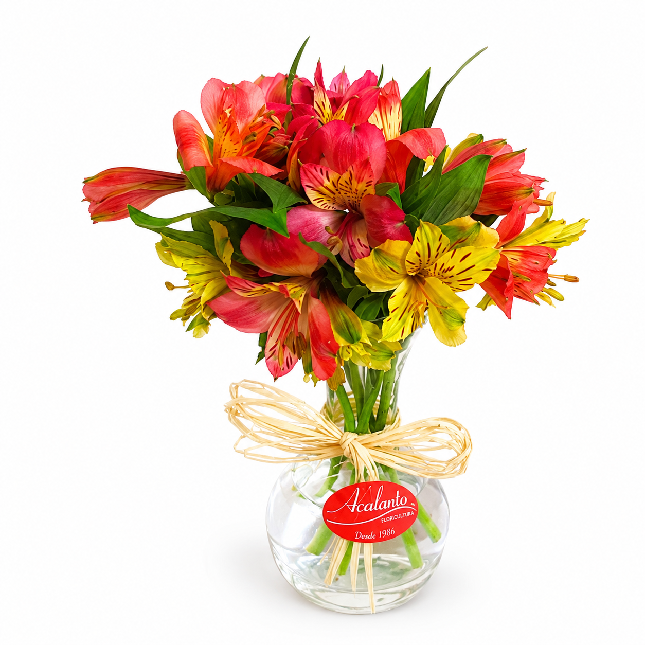 Alstromerias Coloridas em Vaso de Vidro P